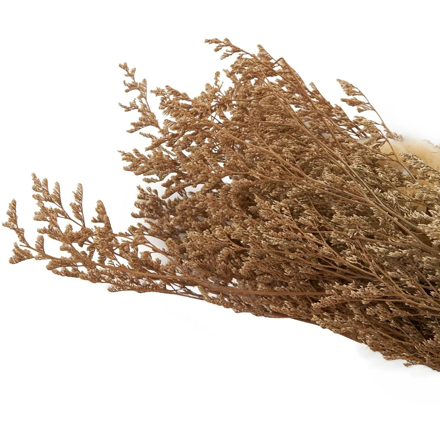 Dried Limonium & Bunny Tail Bouquet - Natural