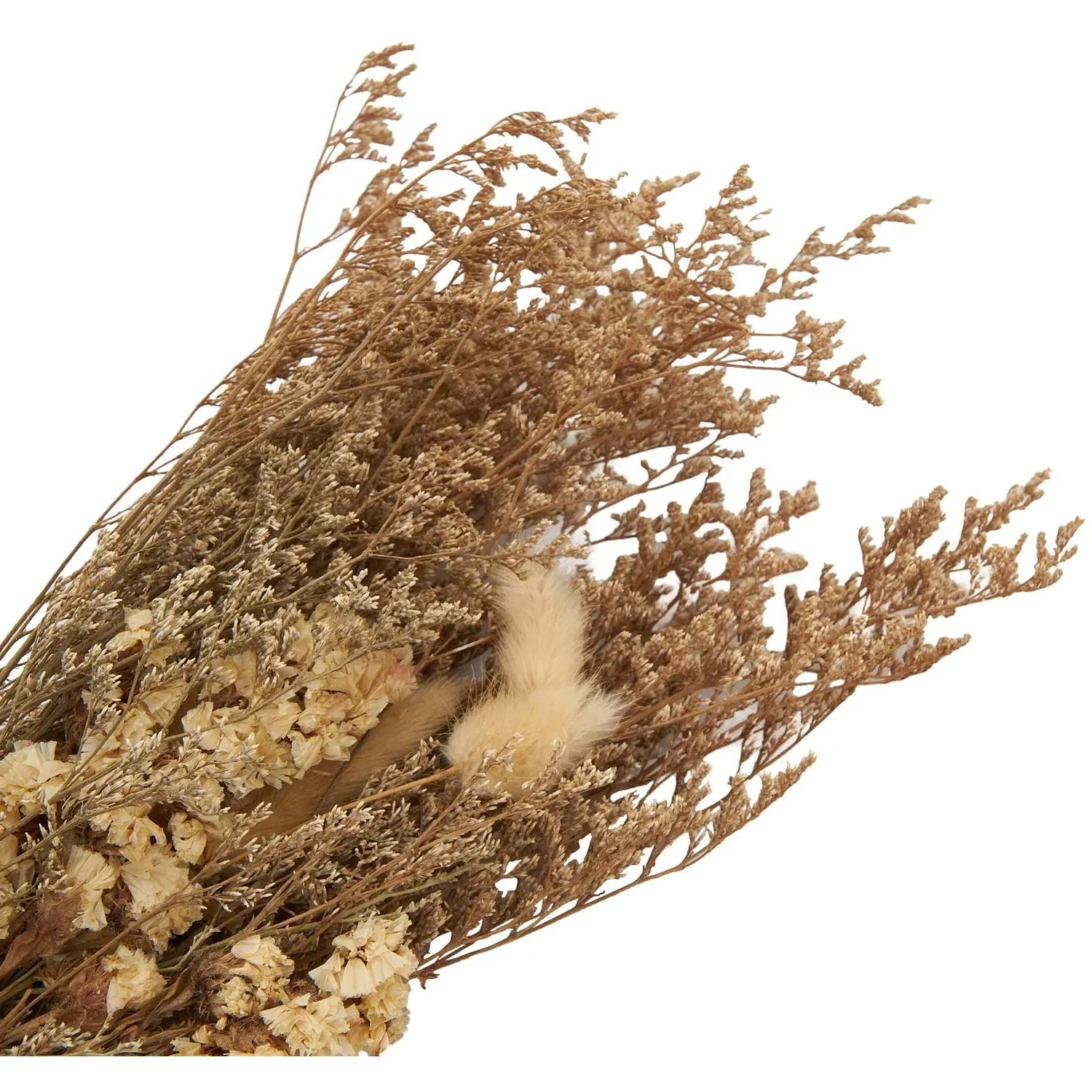 Dried Limonium & Bunny Tail Bouquet - Natural