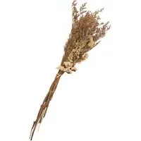 Dried Limonium & Bunny Tail Bouquet - Natural