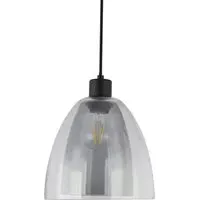 Eden Glass Dome Pendant Light - Smoked