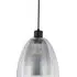 Eden Glass Dome Pendant Light - Smoked