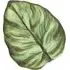 Eden Melamine Palm Leaf Tray - Green