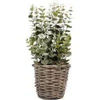 Eucalyptus Artificial Plant - Multi, Wicker
