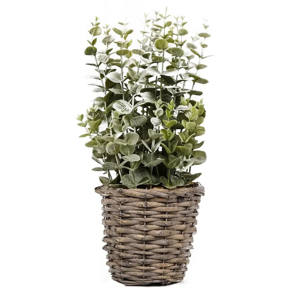 Eucalyptus Artificial Plant - Multi, Wicker image