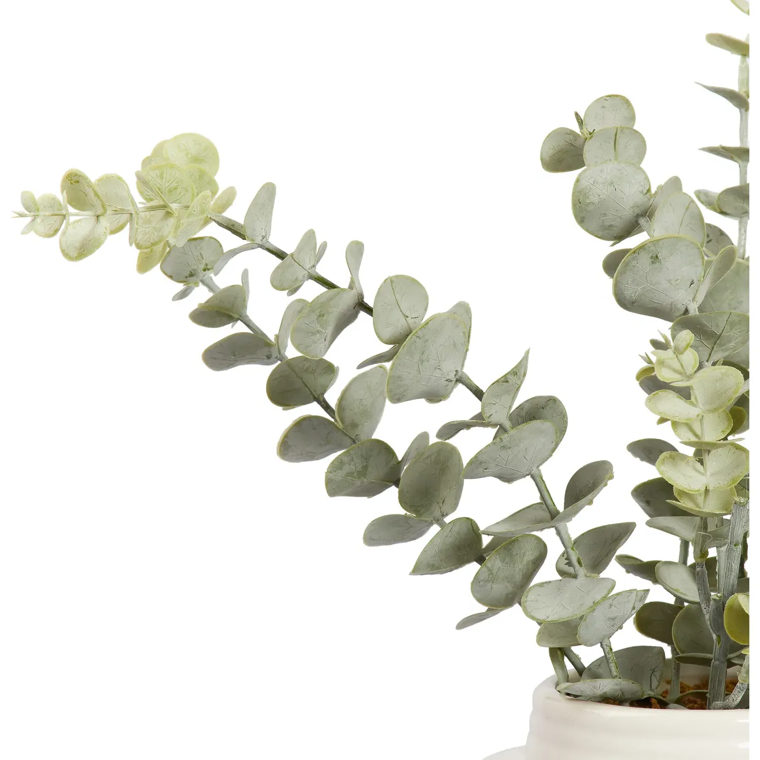 Eucalyptus Artificial Plant - White, Ceramic