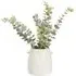 Eucalyptus Artificial Plant - White, Ceramic