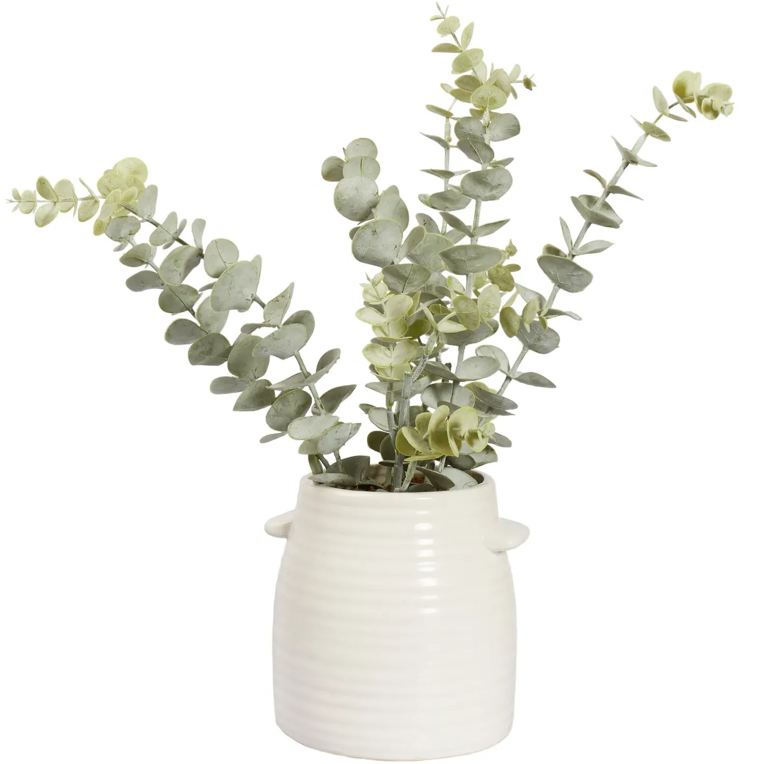 Eucalyptus Artificial Plant - White, Ceramic