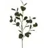 Eucalyptus Branch 80cm - Green