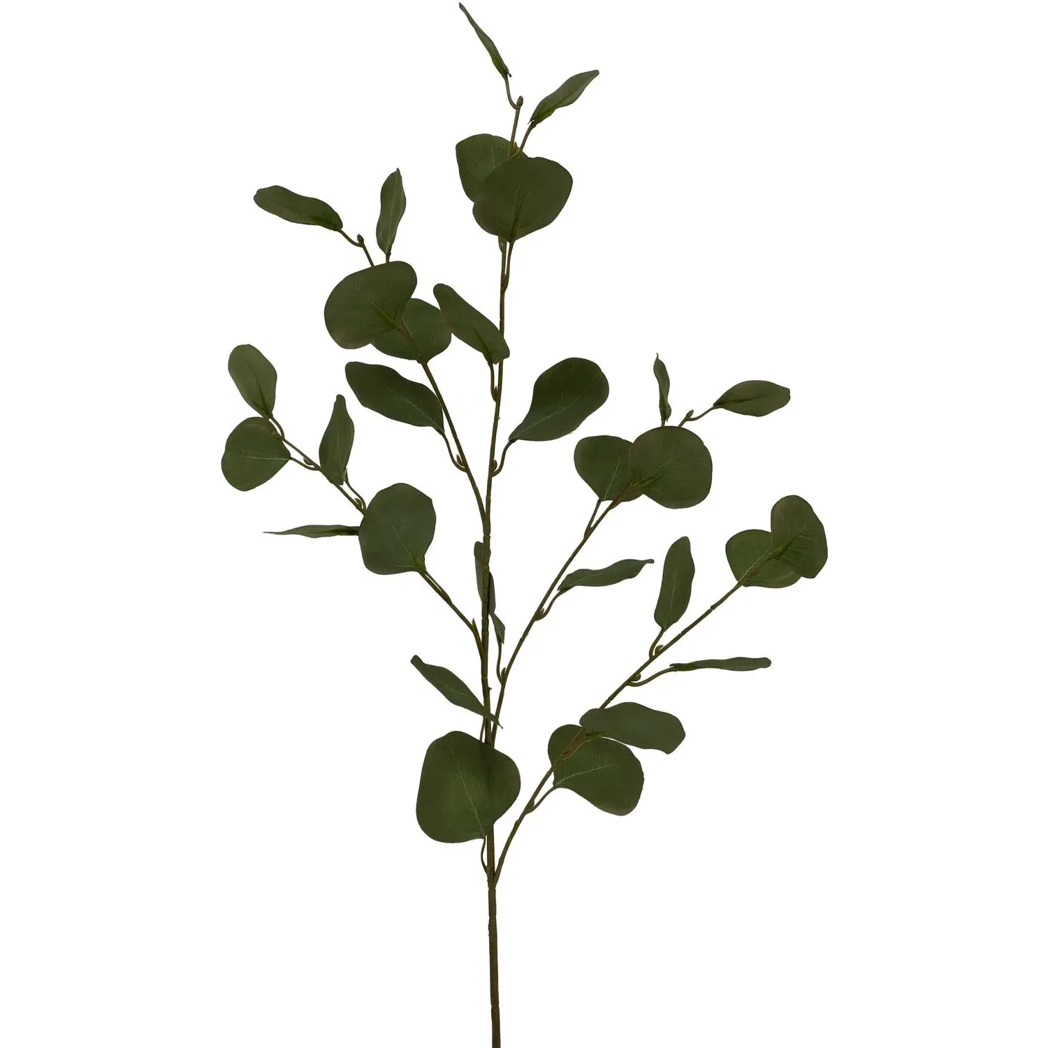 Eucalyptus Branch 80cm - Green image