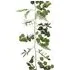 Eucalyptus Garland - Green