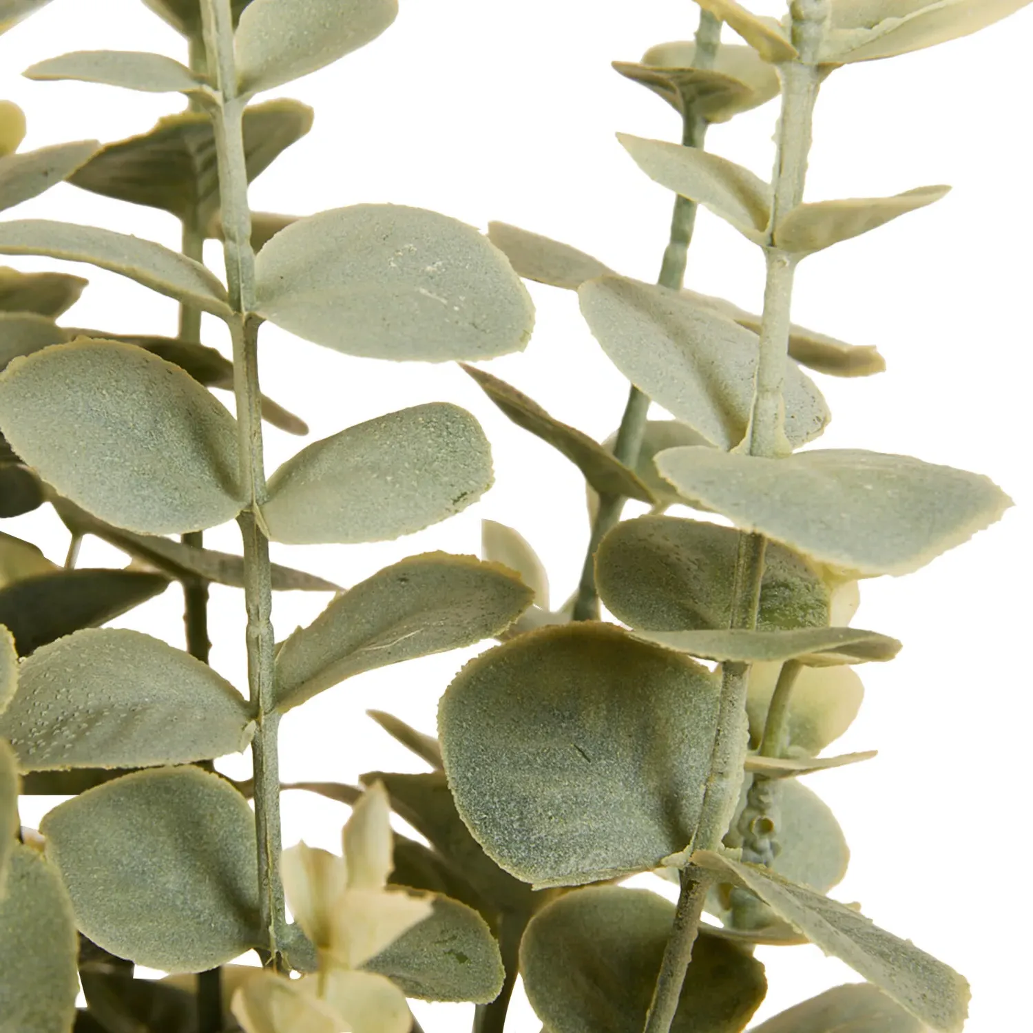 Eucalyptus in Water Hyacinth Basket 40cm - Green