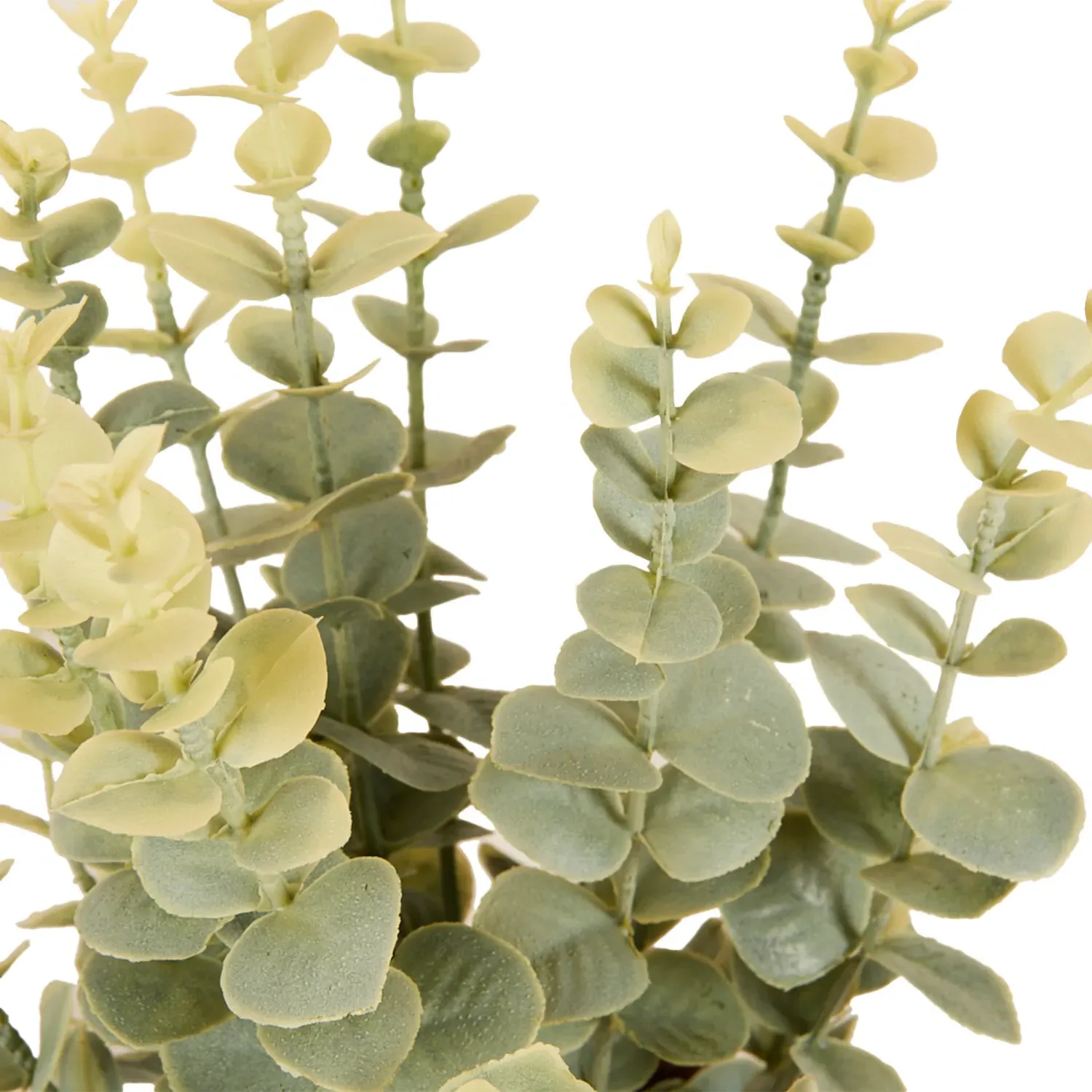 Eucalyptus in Water Hyacinth Basket 40cm - Green