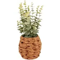 Eucalyptus in Water Hyacinth Basket 40cm - Green