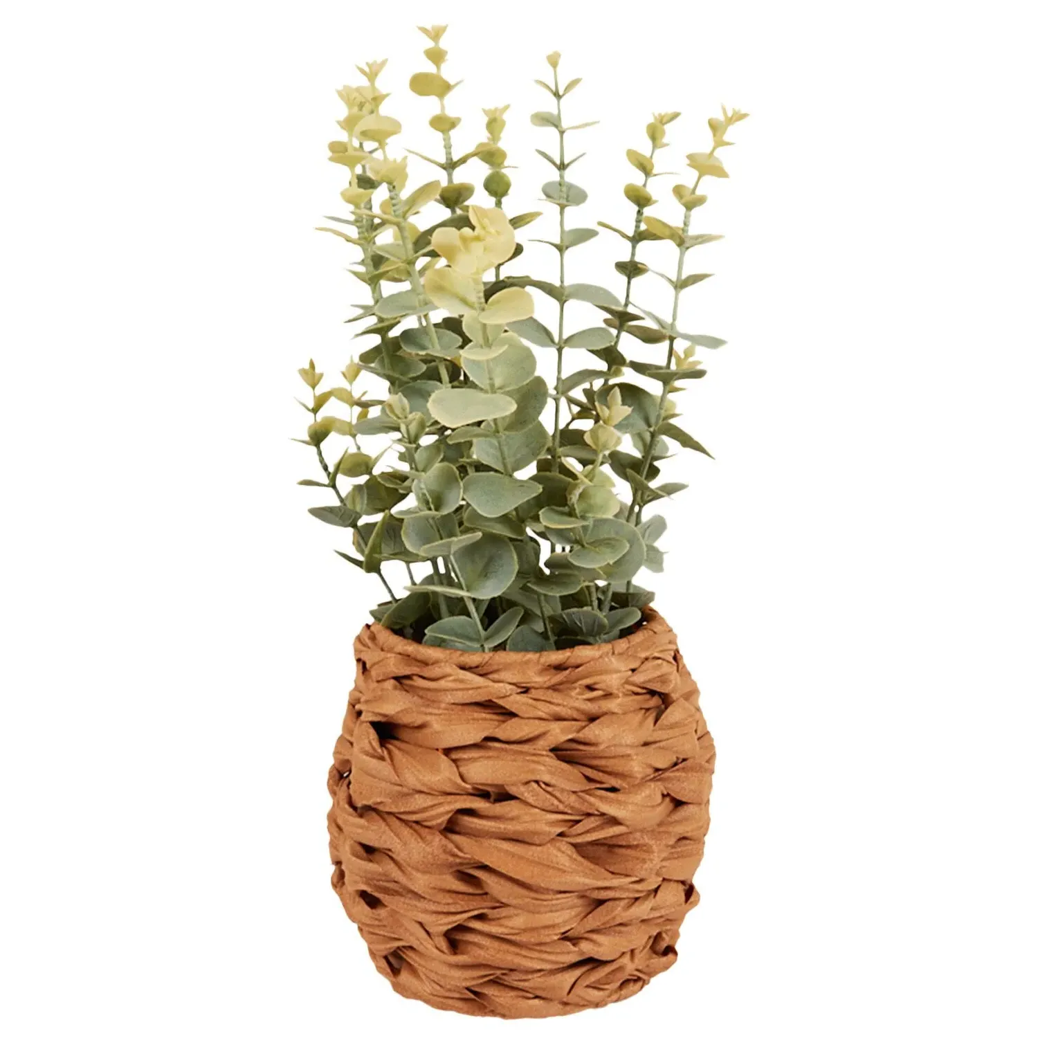 Eucalyptus in Water Hyacinth Basket 40cm - Green