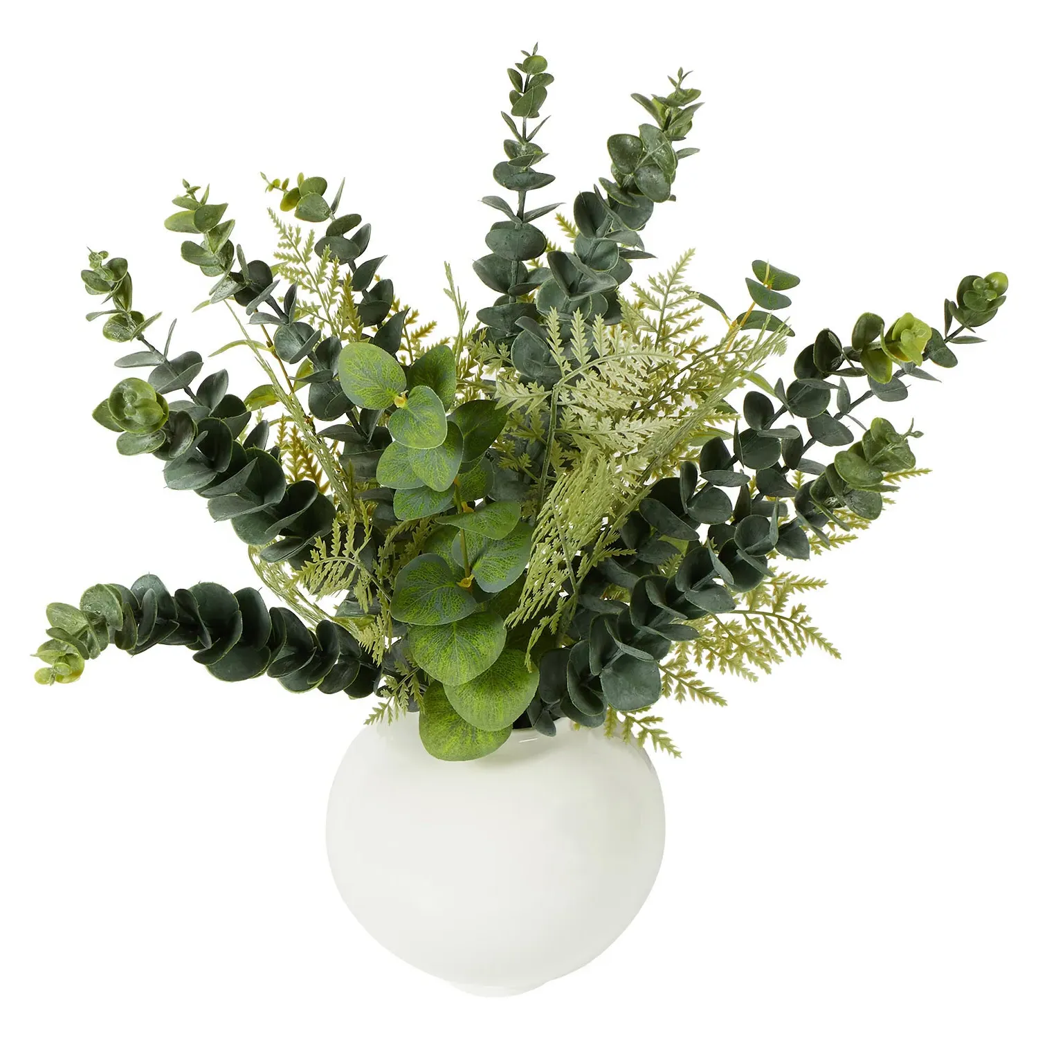 Eucalyptus in White Ceramic Pot - Green, White