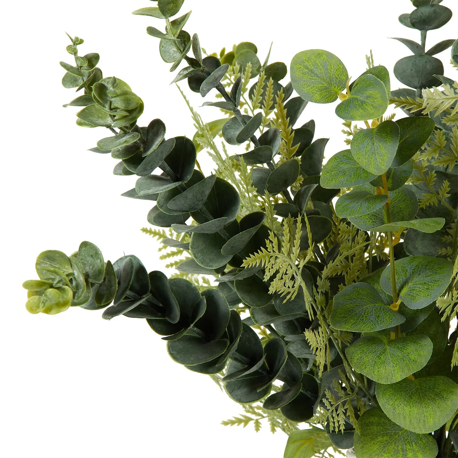 Eucalyptus in White Ceramic Pot - Green, White