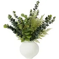 Eucalyptus in White Ceramic Pot - Green, White