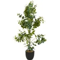Eucalyptus Tree in Pot - Green