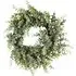 Eucalyptus Wreath 50cm - Green