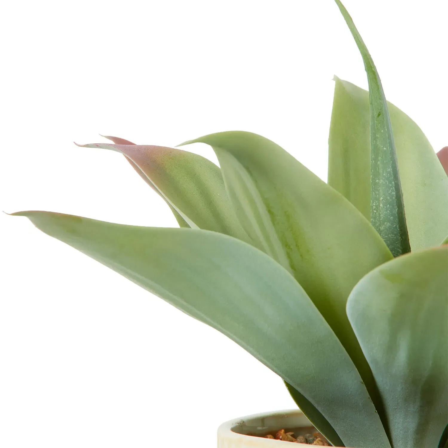 Faux Agave Plant in Dimpled Pot - Green