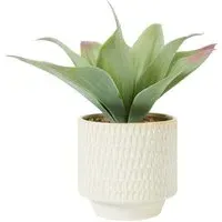 Faux Agave Plant in Dimpled Pot - Green