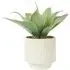 Faux Agave Plant in Dimpled Pot - Green