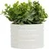 Faux Grass in Pot - White, Sage