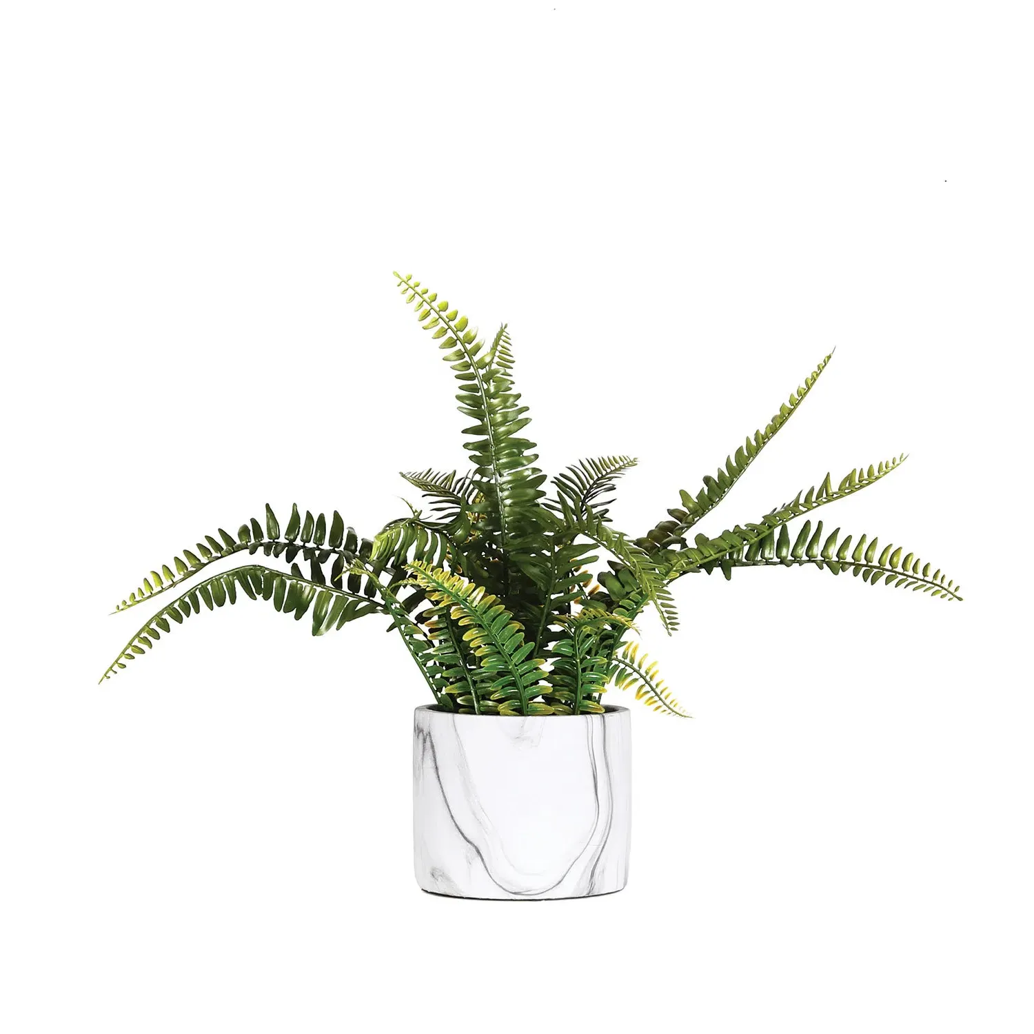 Fern in Marble Pot image