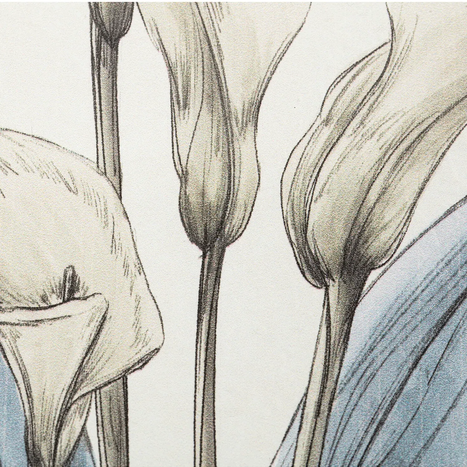 Flower Hand Sketch Effect Framed Art