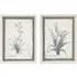 Flower Hand Sketch Effect Framed Art