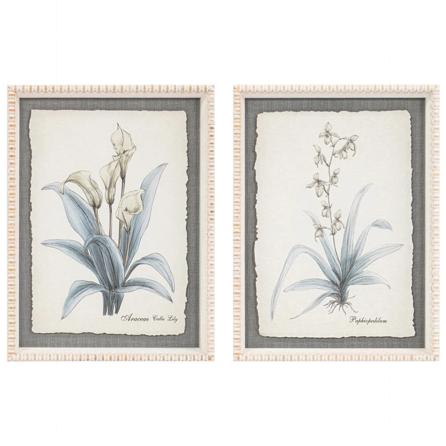 Flower Hand Sketch Effect Framed Art image