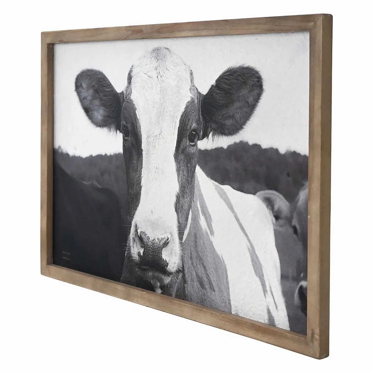Friesian Cow Textured Framed Print - Black and White