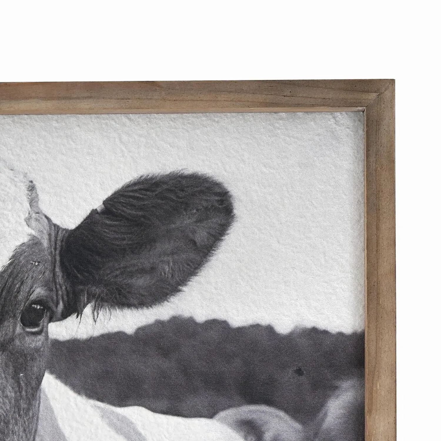 Friesian Cow Textured Framed Print - Black and White