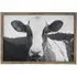 Friesian Cow Textured Framed Print - Black and White