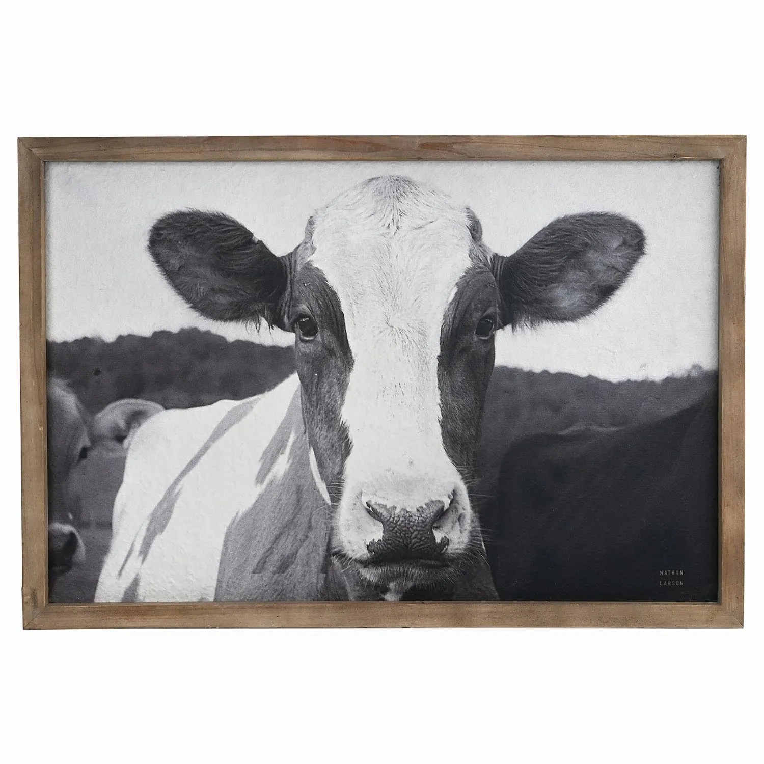 Friesian Cow Textured Framed Print - Black and White image