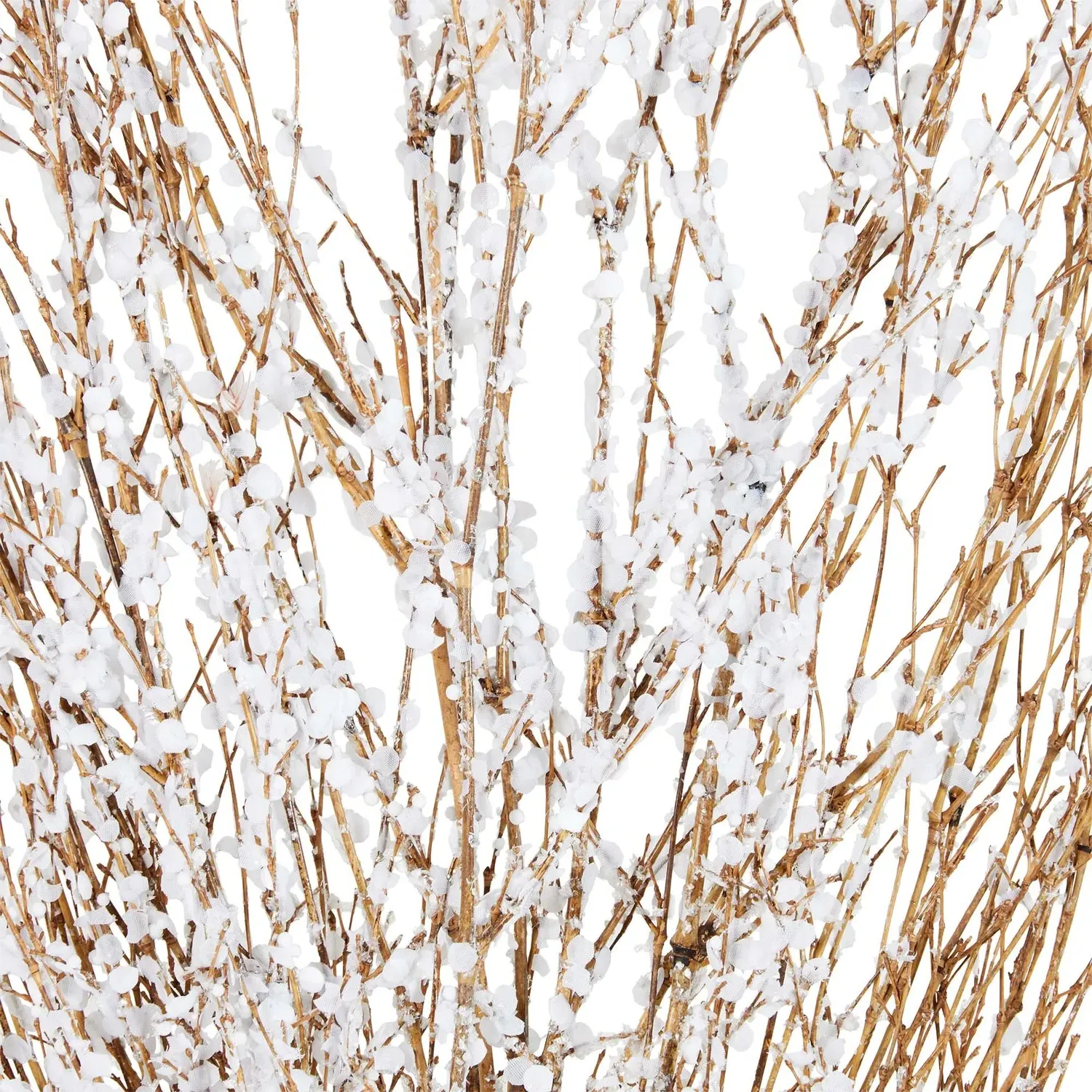 Frosted Confetti Bouquet - Natural