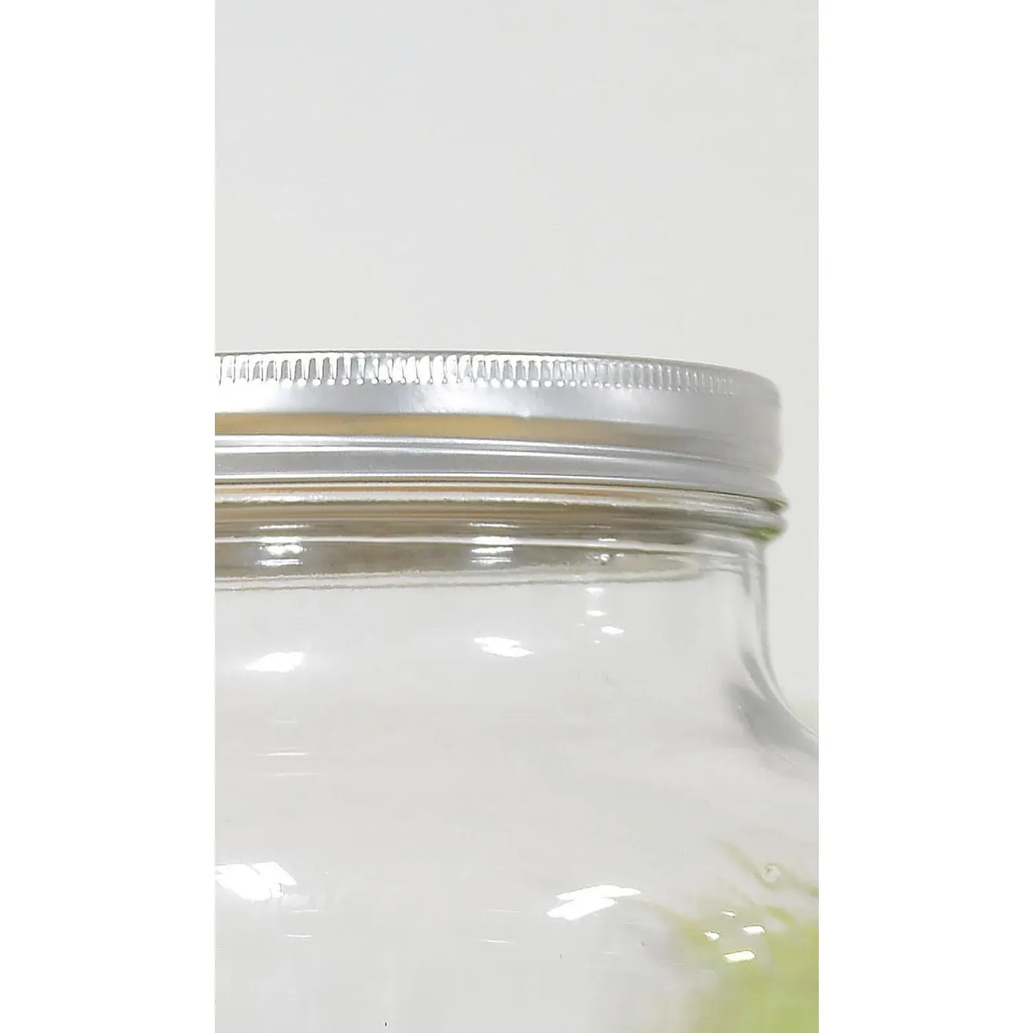 Glass Beverage Dispenser 6L