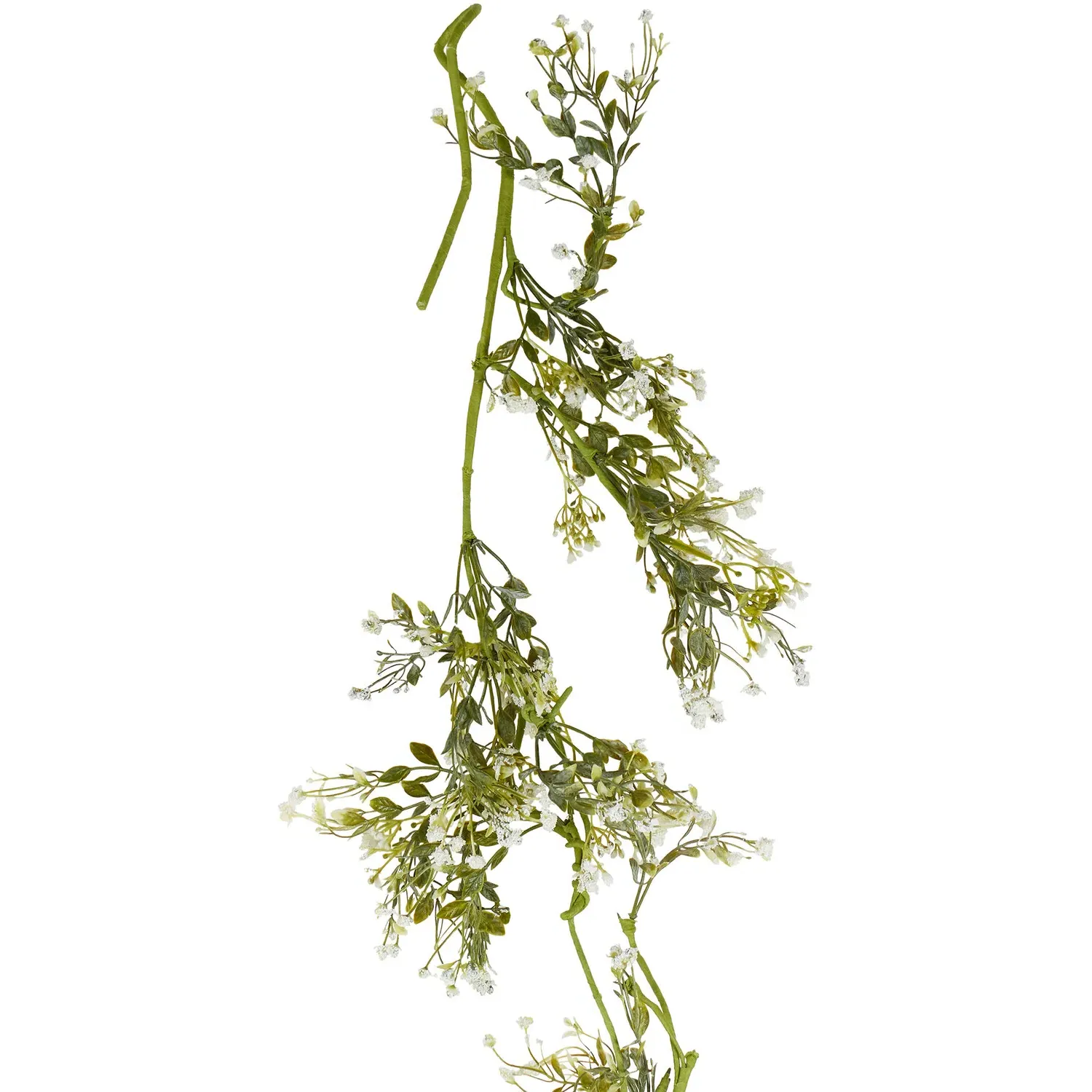 Gypsophila Spray - Green