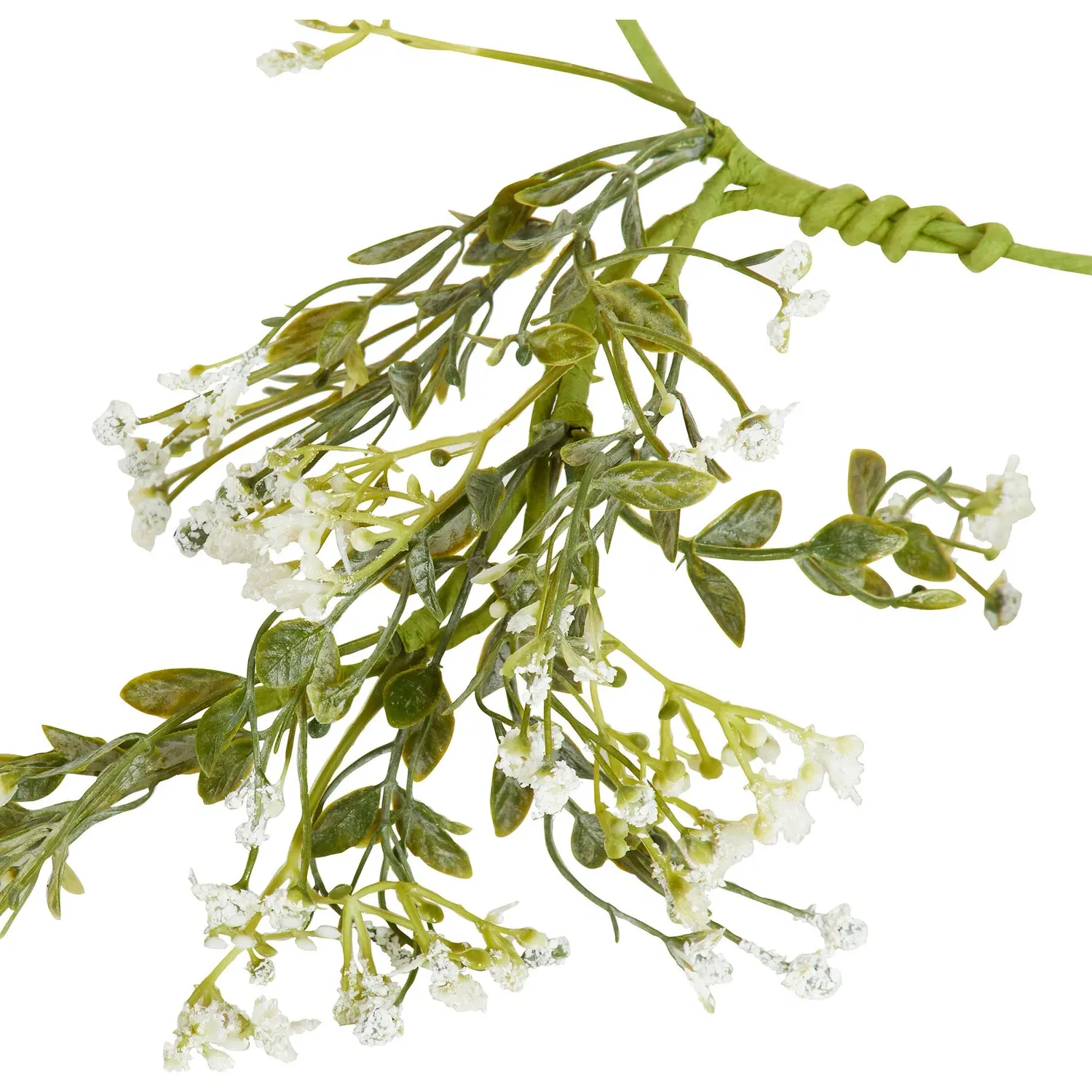 Gypsophila Spray - Green