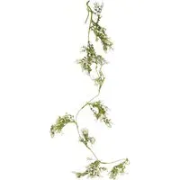 Gypsophila Spray - Green