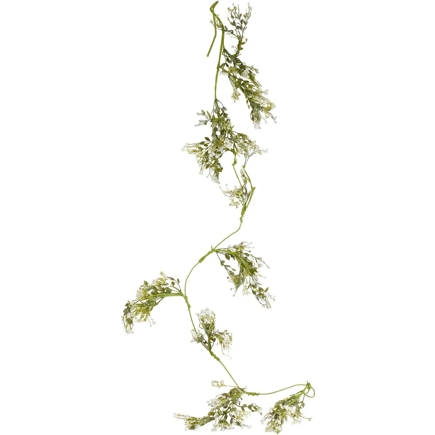 Gypsophila Spray - Green image