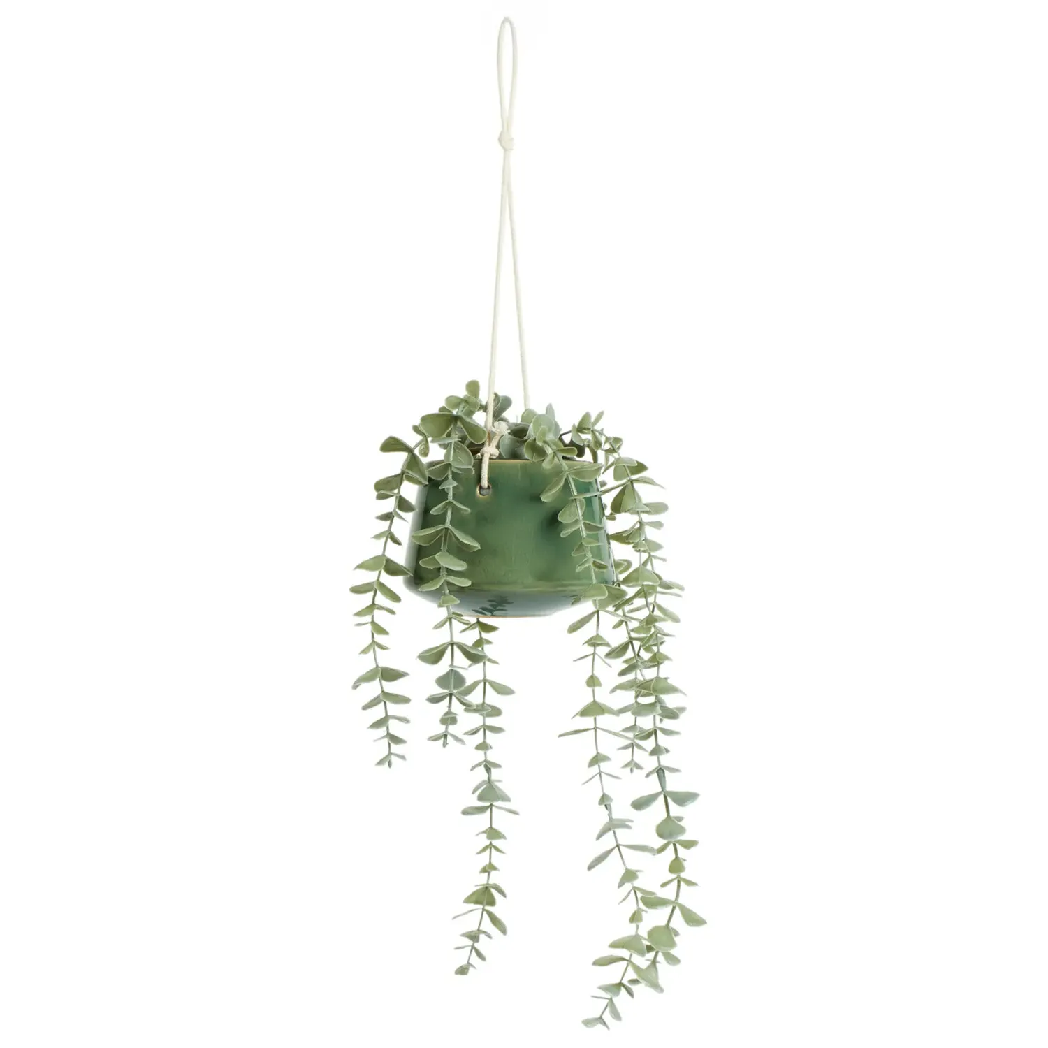 Hanging Eucalyptus in Sage Pot - Sage