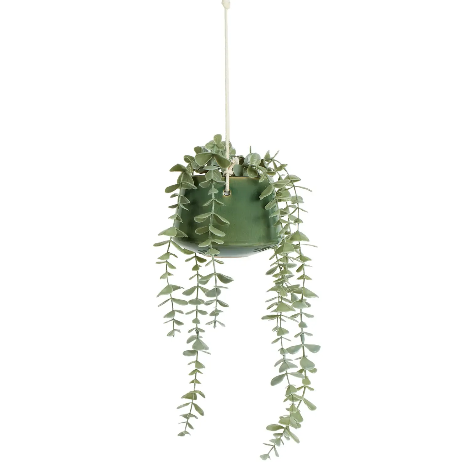 Hanging Eucalyptus in Sage Pot - Sage