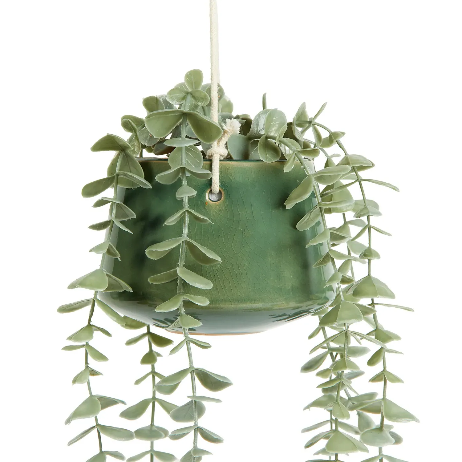 Hanging Eucalyptus in Sage Pot - Sage