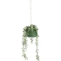 Hanging Eucalyptus in Sage Pot - Sage