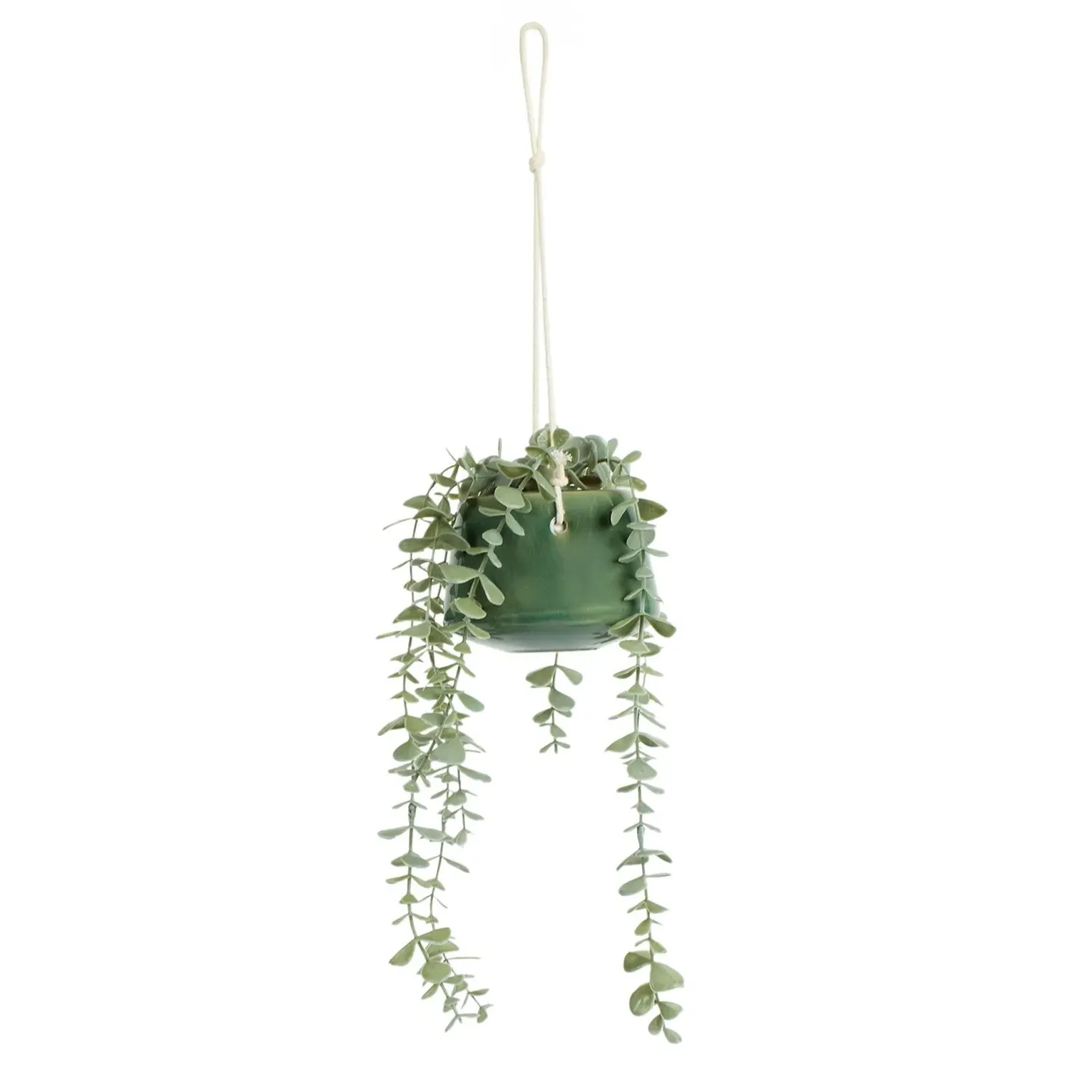 Hanging Eucalyptus in Sage Pot - Sage image