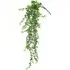 Hanging Eucalyptus Plant Decoration - Green