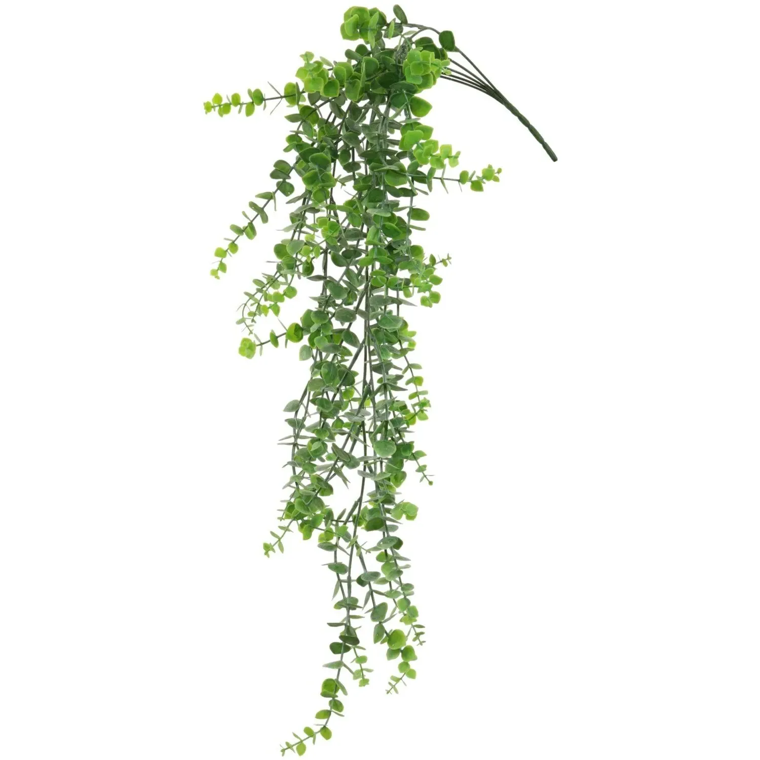 Hanging Eucalyptus Plant Decoration - Green image