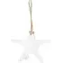 Hanging Starfish - White