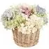 Hydrangea and Gypsophila Floral Basket - Multicolour